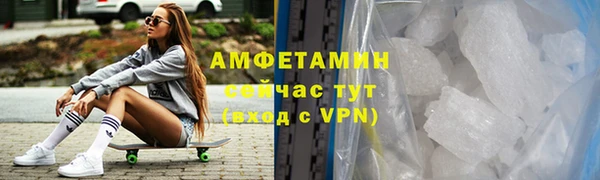гидра Богородск