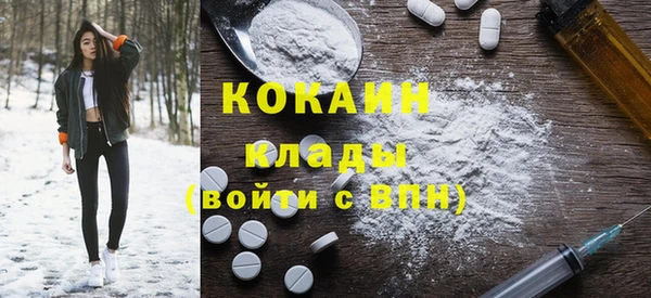 гидра Богородск