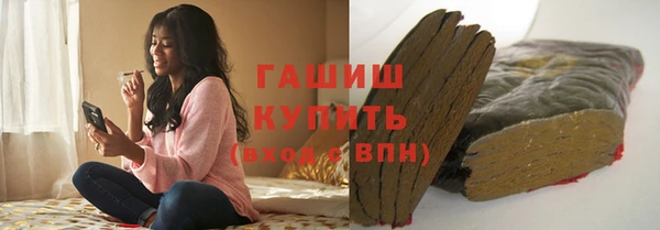 гидра Богородск