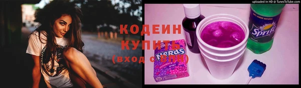 гидра Богородск