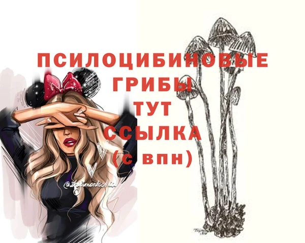 героин Богданович