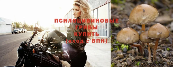 героин Богданович